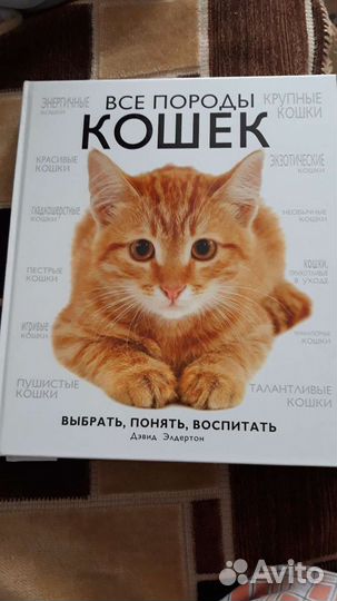 Энциклопедия