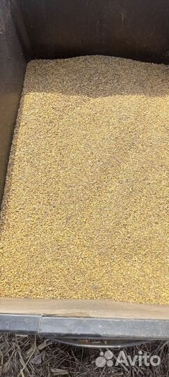 Продам на корма молотый бой сои
