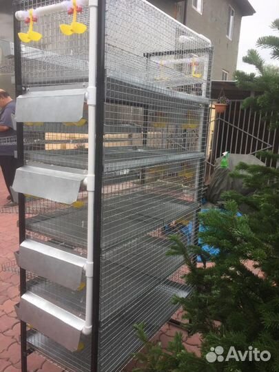 Клетки для перепелов от заводчиков перепелов