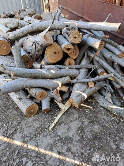 Ореховое дерево