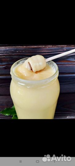 Мед оптом донник