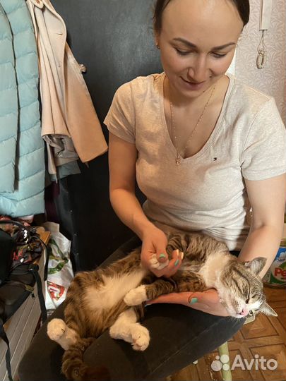 Ветеринарный врач