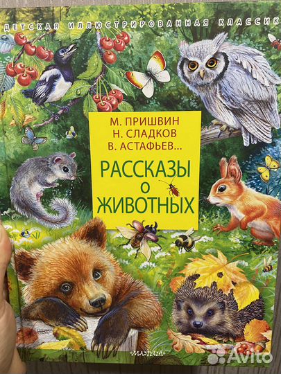 Ушки на макушке, про зосю, дар быть особенной