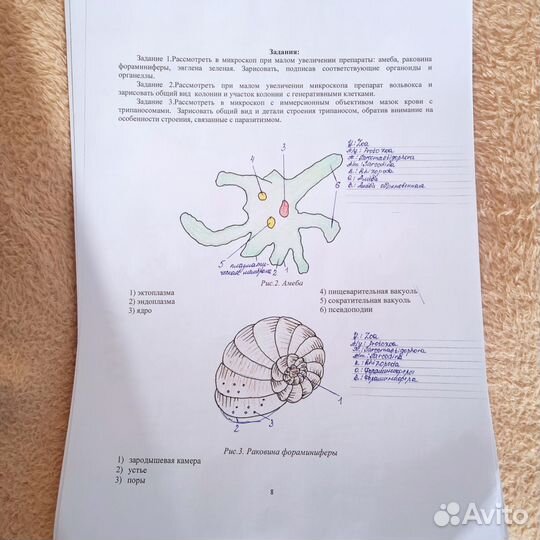 Методическая тетрадь