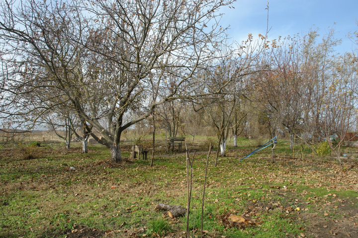 Дом 170 м² на участке 29 сот.