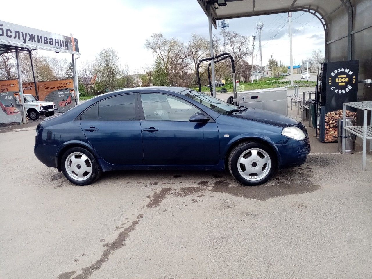 Nissan Primera: фото владельца
