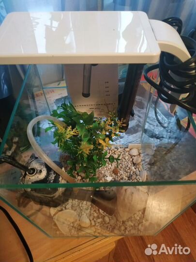 Аквариум