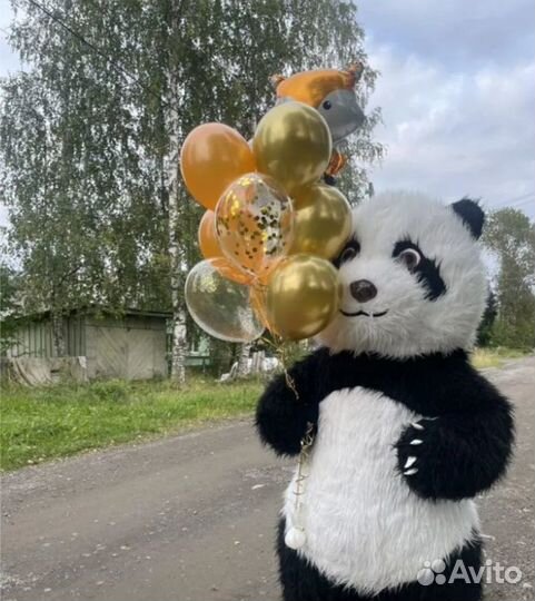Панда на ваш праздник