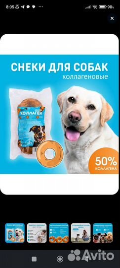 Для больших собак новое