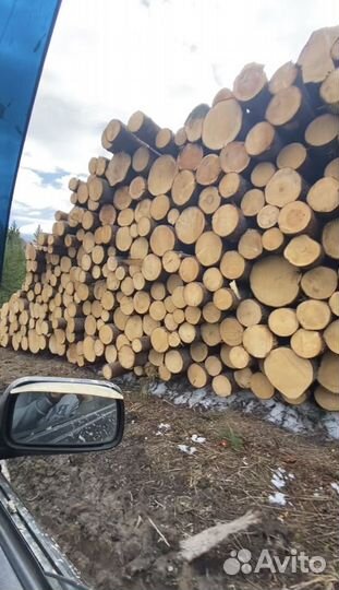 Лес кругляк пиловочник