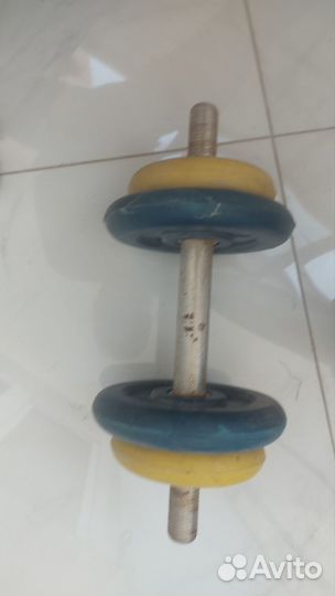 Гантеля с блинами Barbell