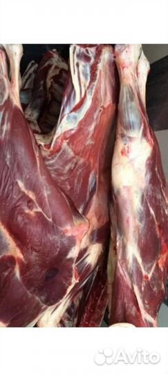 Мясо -телятина