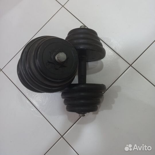 Гантели разборные 10 кг