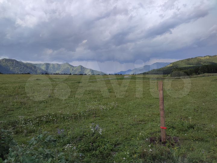 Участок 40 сот. (СНТ, ДНП)