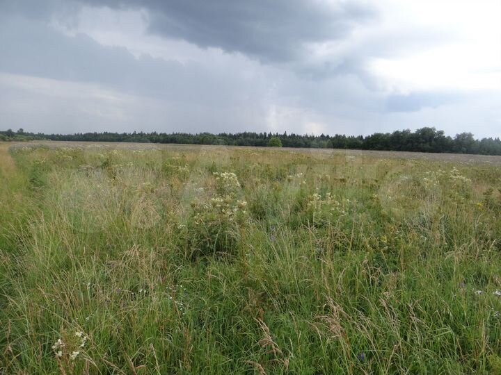 Участок 10 сот. (СНТ, ДНП)