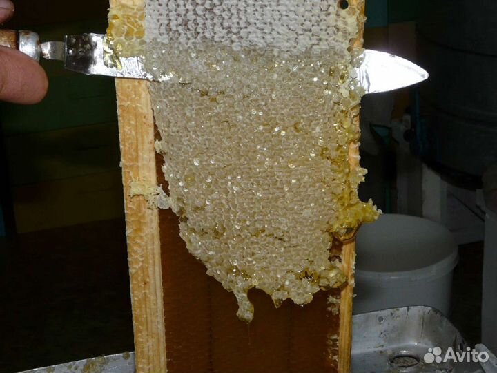 Забрусовый Мёд