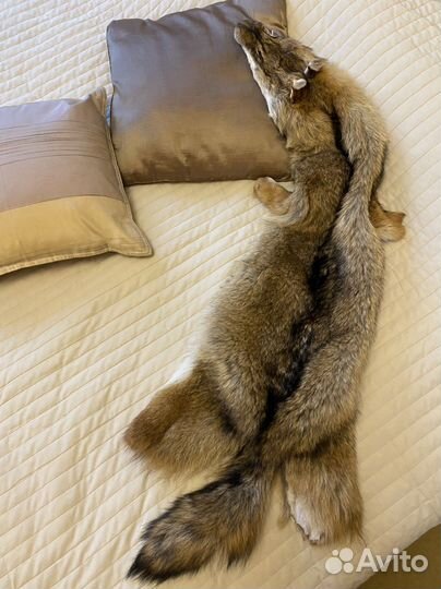 Имитация Шкуры медведя, волка для фото викинги