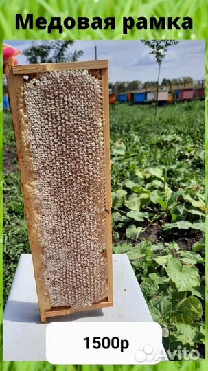 Мед и продукты пчеловодства с собственной пасеки