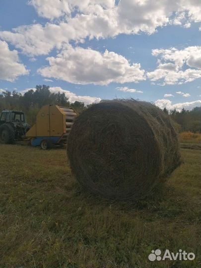 Продам сено в рулонах