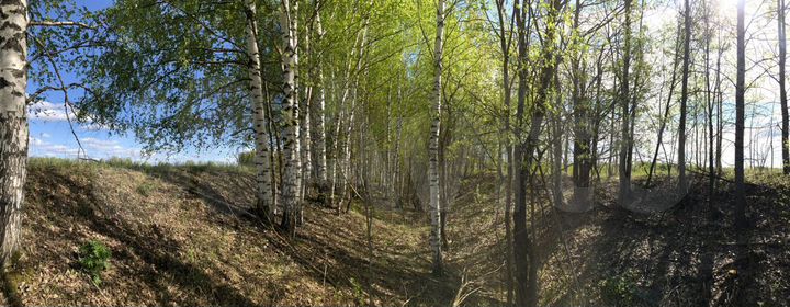 Участок 38 сот. (ИЖС)