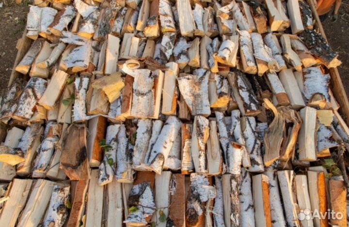Дрова береза