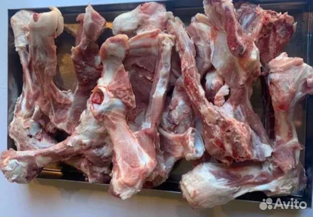 Кости обрезь домашней свинины