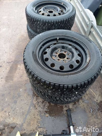 Nokian Tyres Hakkapeliitta 8 175/65 R14