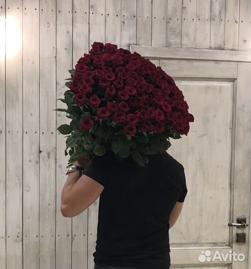 101 Роза Цветы Пионы