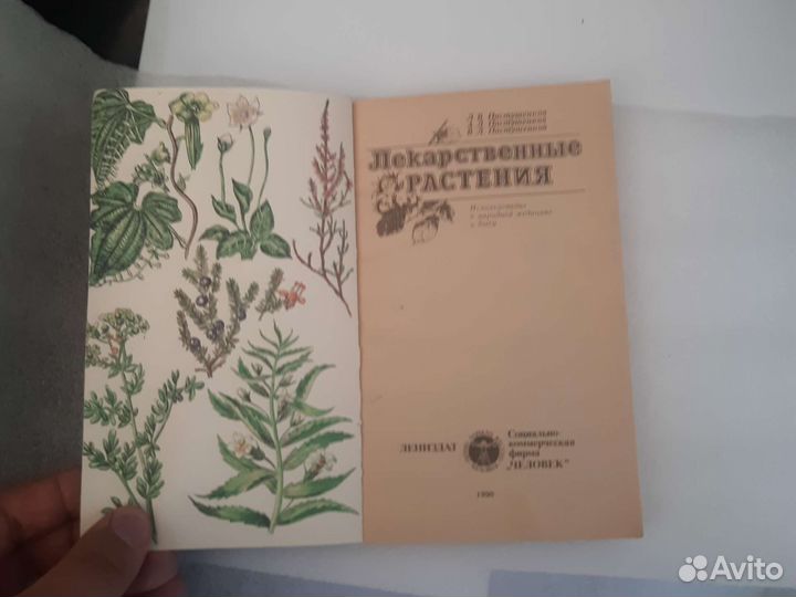 Лекарственные растения. Использование в народной