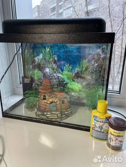 Аквариум
