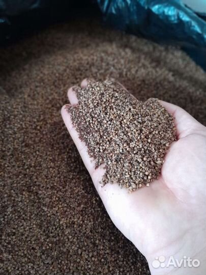 Семена подорожника