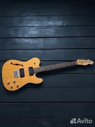 Fender Squier Telecaster Thinline Master Series