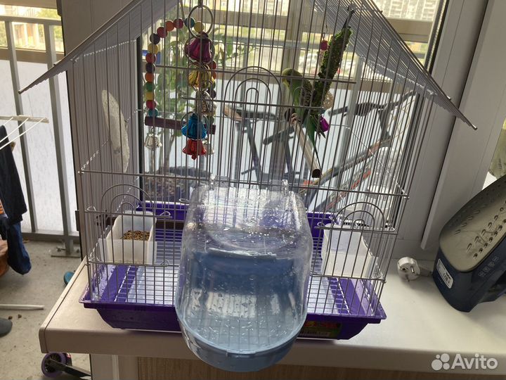 Волнистый попугай с клеткой