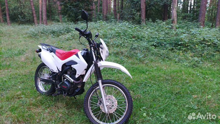Motoland 150 с птс