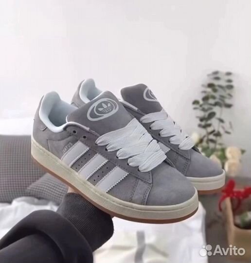 Кроссовки adidas campus 2 цвета