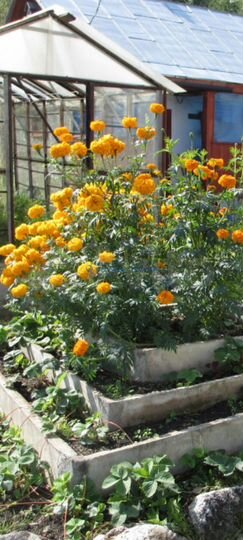 Дача 80 м² на участке 8 сот.