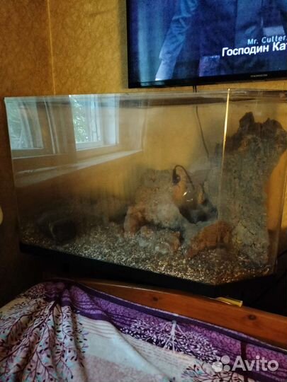 Аквариум из оргстекла