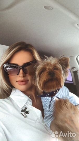 Рубашка для мелких собак