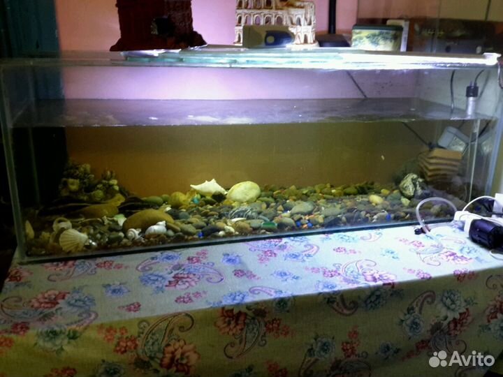 Аквариум