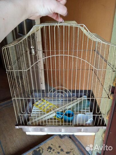 Клетка для попугая