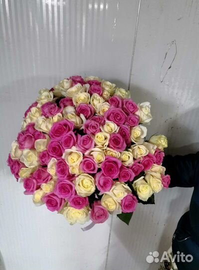 Букет цветов. Розы 101 шт