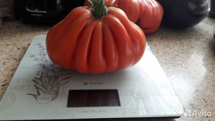 Семена коллекционных томатов ч.1