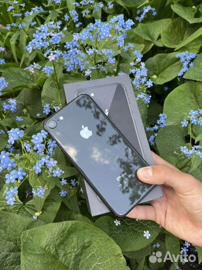 iPhone 8, 64 ГБ