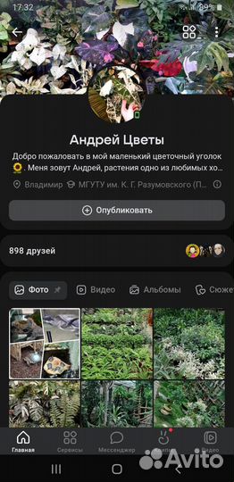 Домашнии экзотические растания