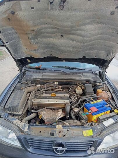Opel Vectra 1.8 МТ, 1998, 370 000 км