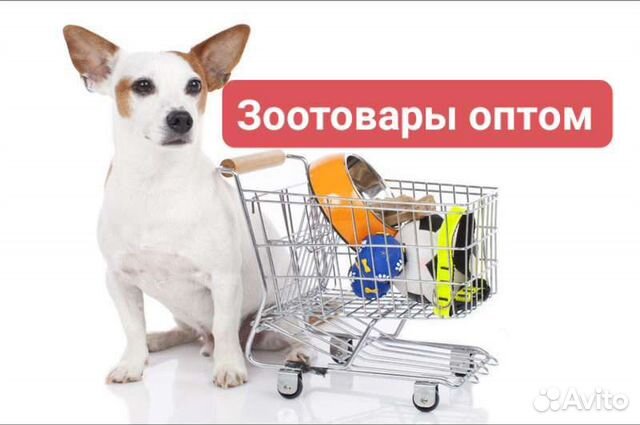 Игровой набор safari ltd дикие животные 761004. Контейнер для корма барсик 6 л. Мягкие игрушки животные. Товары для животных оптом. Игрушка "щенок".