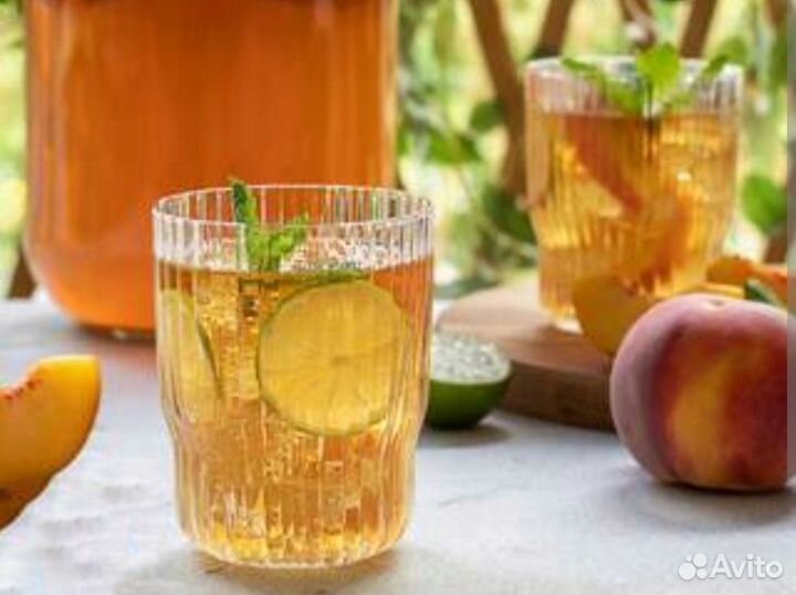 Чайный гриб комбуча