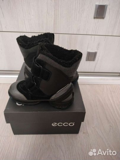 Ботинки ecco 22