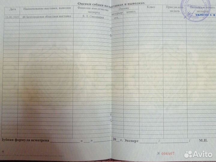 Вязка курцхаар