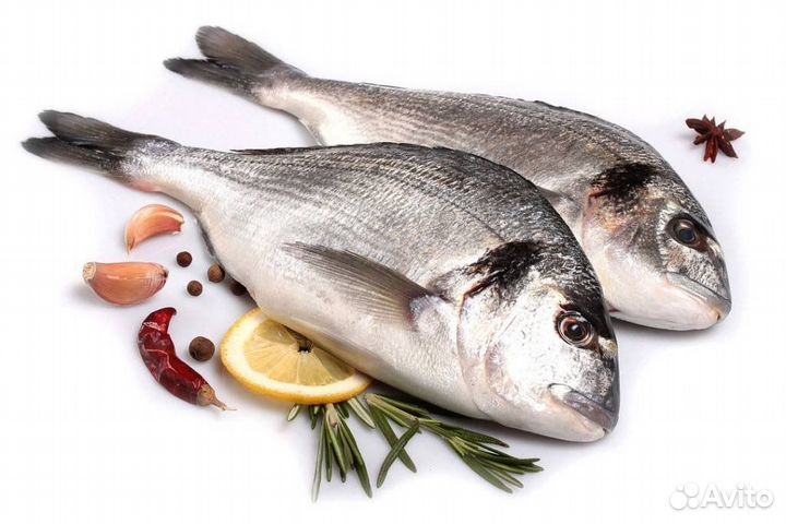 Дорадо рыба